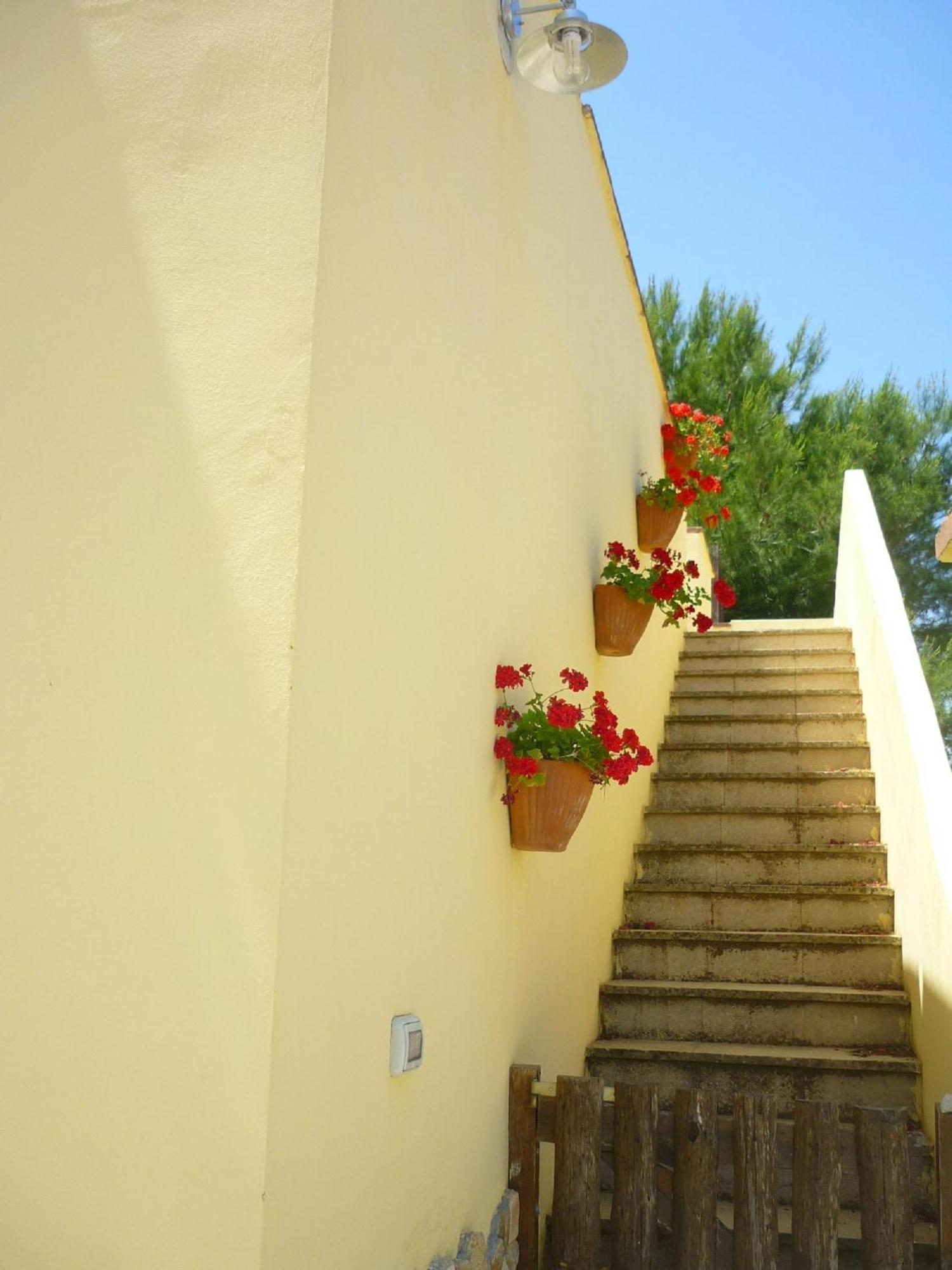 Agriturismo Tenuta La Siesta ガリポリ エクステリア 写真