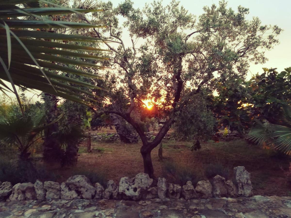 Agriturismo Tenuta La Siesta ガリポリ エクステリア 写真