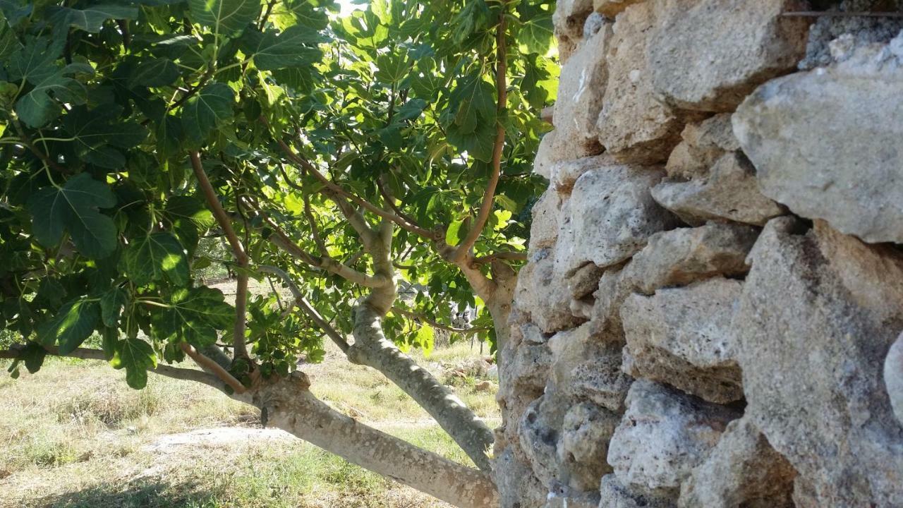 Agriturismo Tenuta La Siesta ガリポリ エクステリア 写真