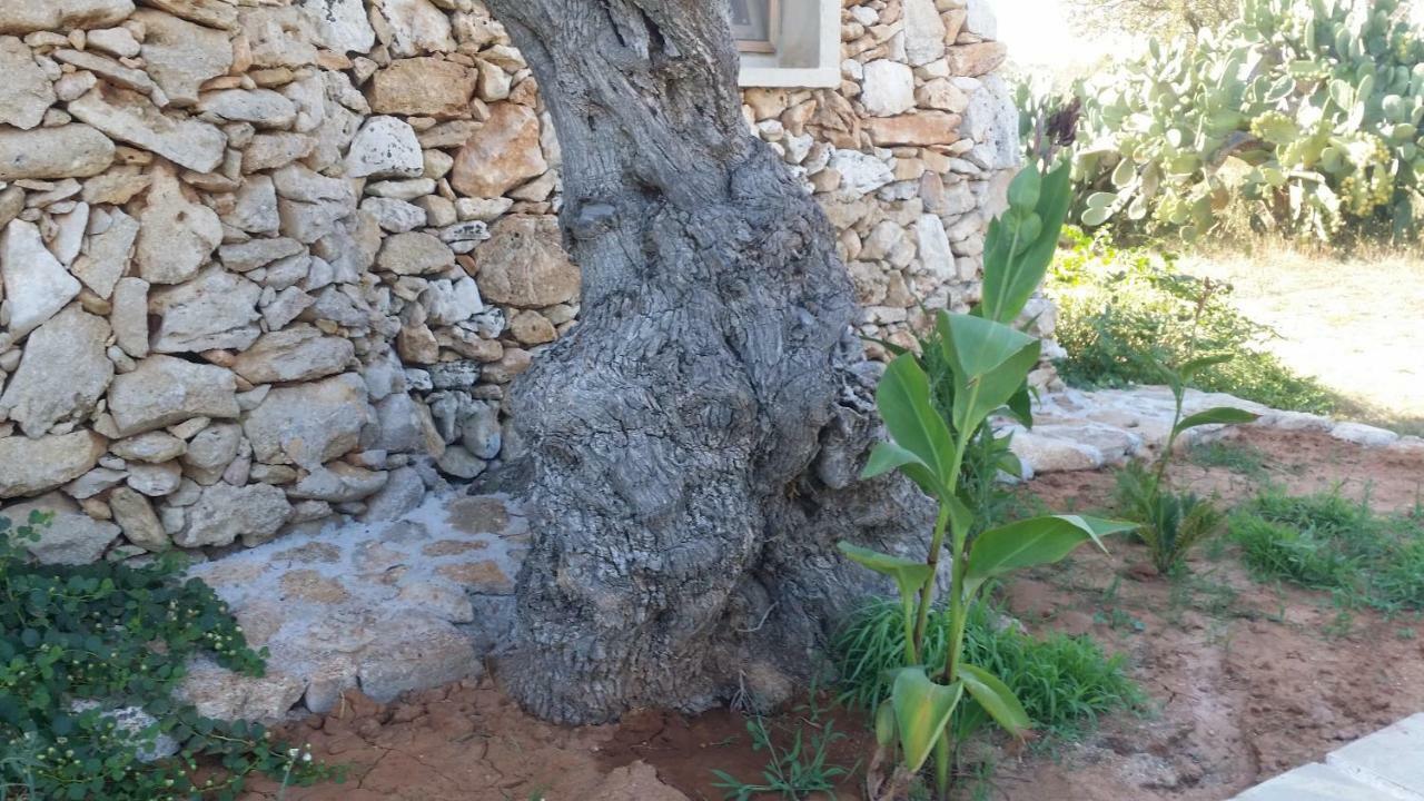 Agriturismo Tenuta La Siesta ガリポリ エクステリア 写真