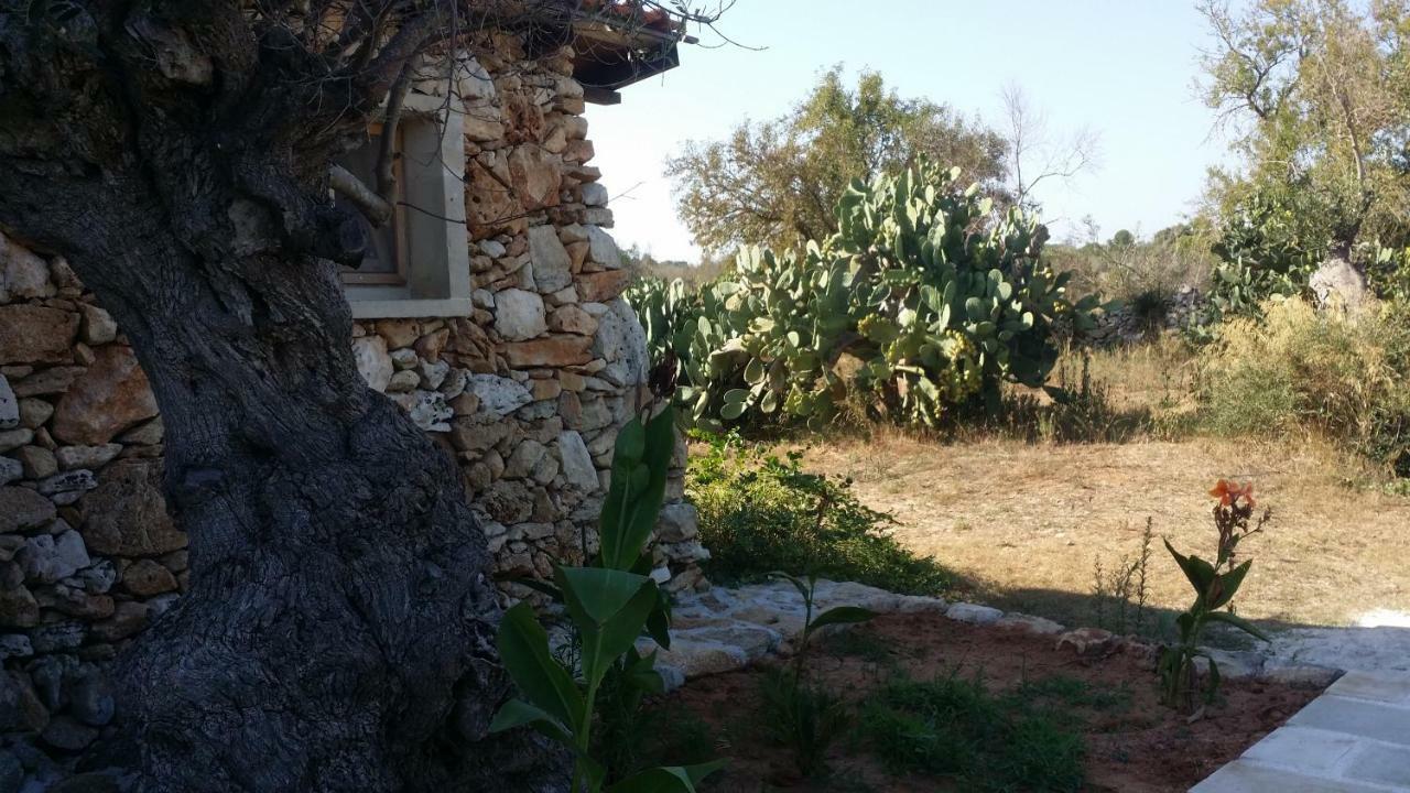 Agriturismo Tenuta La Siesta ガリポリ エクステリア 写真